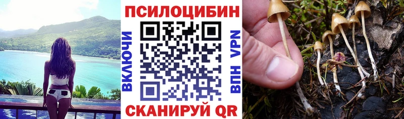 omg зеркало Волгореченск Галлюциногенные грибы мухоморы